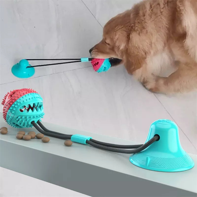 Upgrade Suction Cup Dog Toy Dog Chew Toys Interactive Dog Toys Dog Teeth  Cleaning Toys Pet Molar Bite Toy Dog Squeaky Tug Toy For Dogs Non-toxic &  Durable Dog Toys 2023 